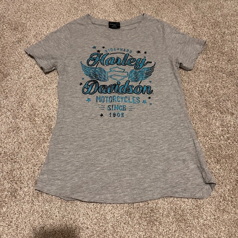 Harley-Davidson Gray and Blue Graphic Tee - Picture 2 of 5